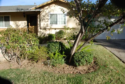 DSC_0062 (Large).JPG